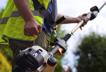 Landscaping Services