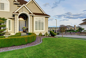 Lawn Maintenance