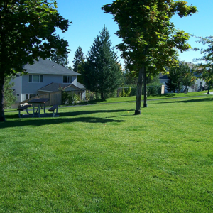 Large Area Lawn Maintenance