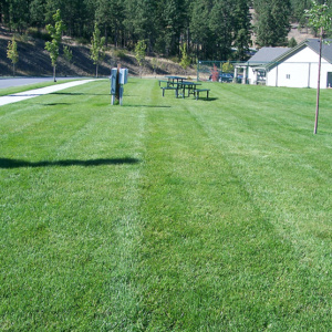 Park Lawn Care
