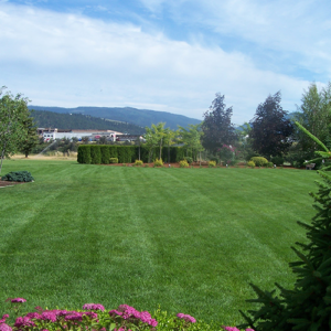 Professional Lawn Care