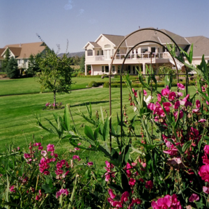 Pruning & Trimming