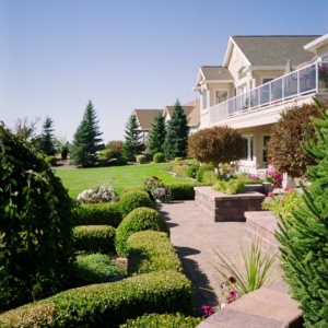 Shrub Pruning