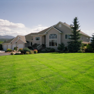 Premium Lawn Services