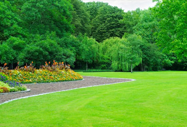 Commercial Landscaping