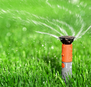sprinkler running on grass