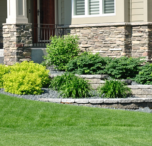 beautiful landscaping in front lawn of home