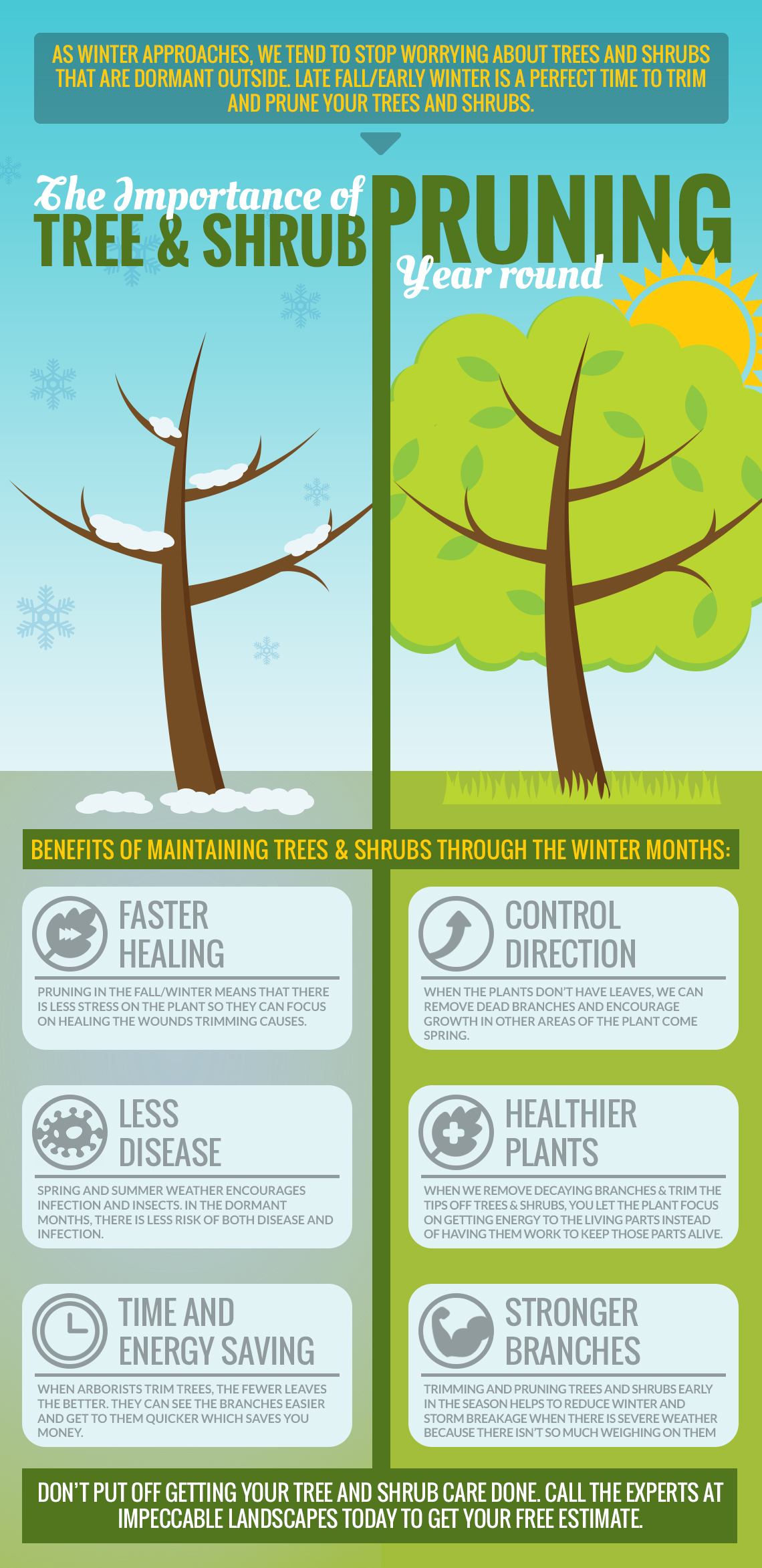 Winter Tree Care Tips - Full Circle Tree & Shrub