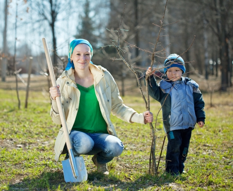 dreamstime_xxl_23987790