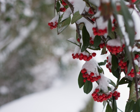 dreamstime_l_18124794