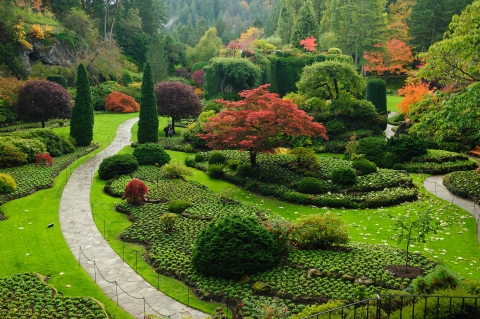 dreamstime_xxl_17171668