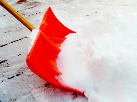 dreamstime_xxl_4521120