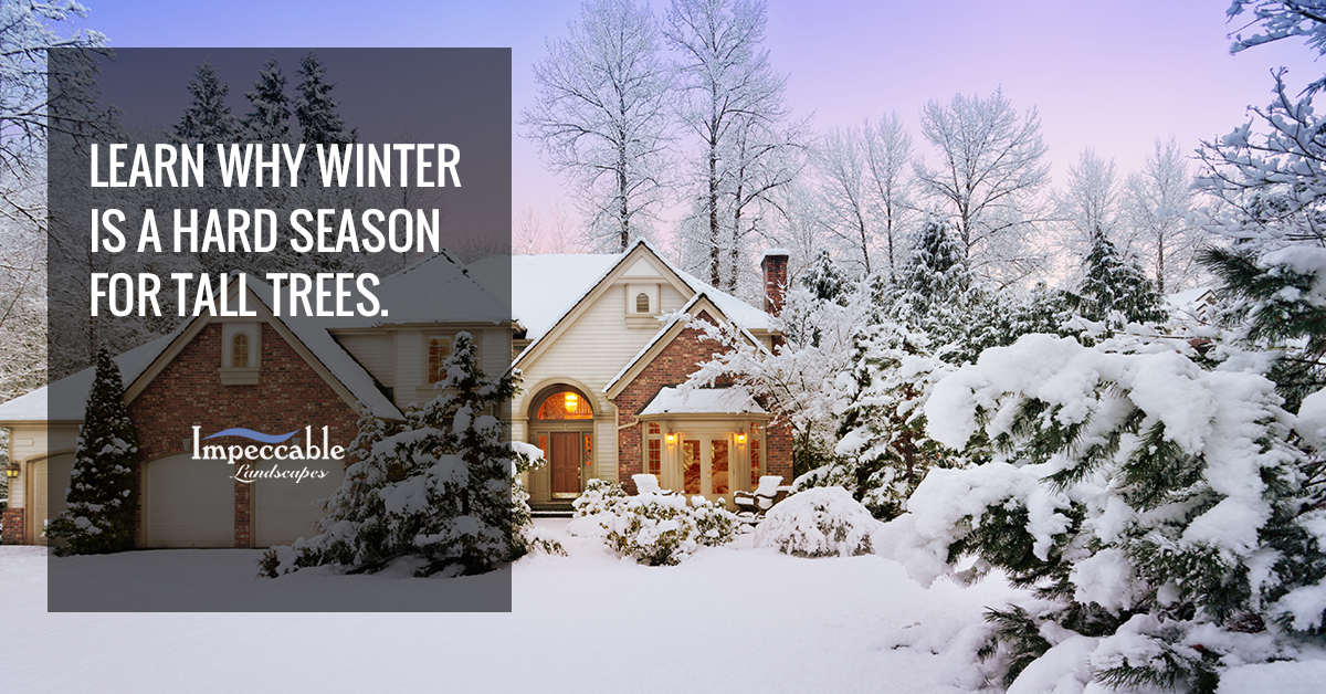 fresh snow around a large house