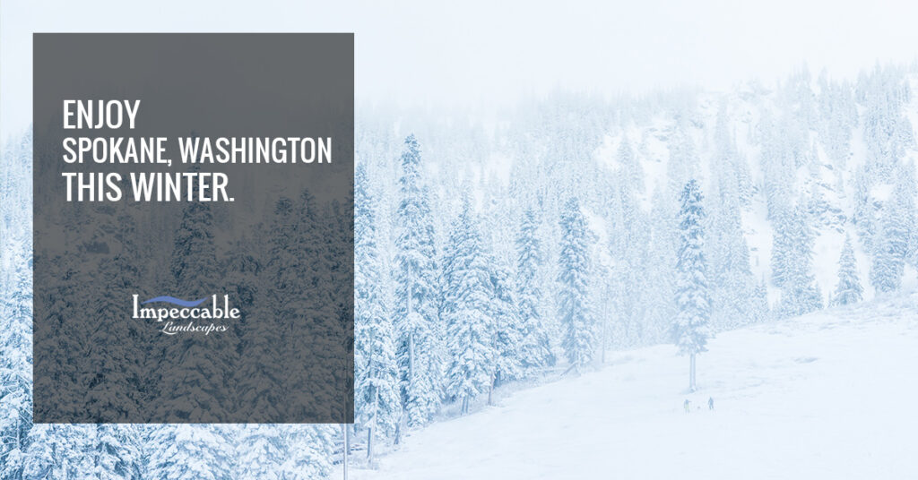 snowy scene with trees