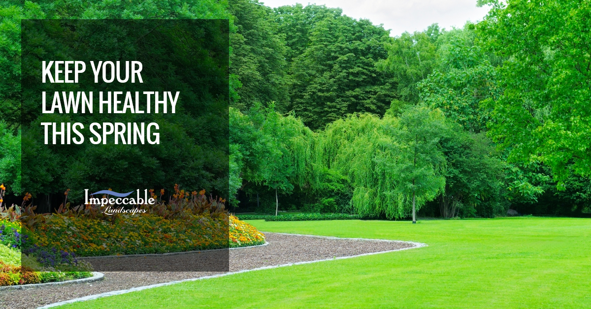 aeration-spring-lawn
