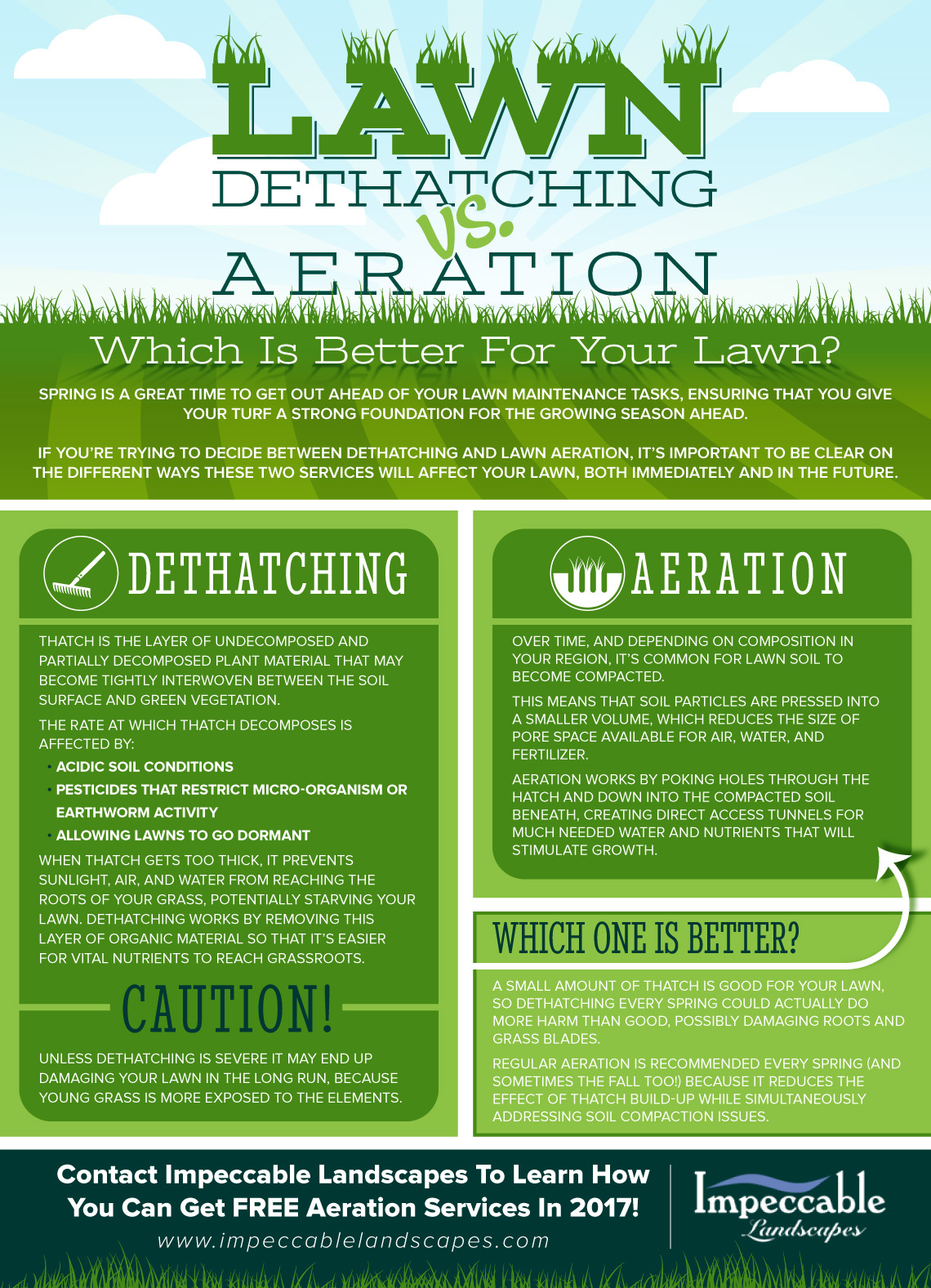 Dethatching vs lawn aeration inforgraphic from Impeccable Landscapes.