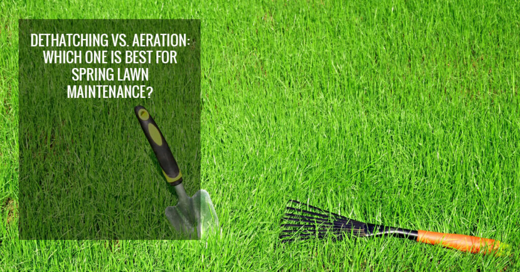 garden tools on grass