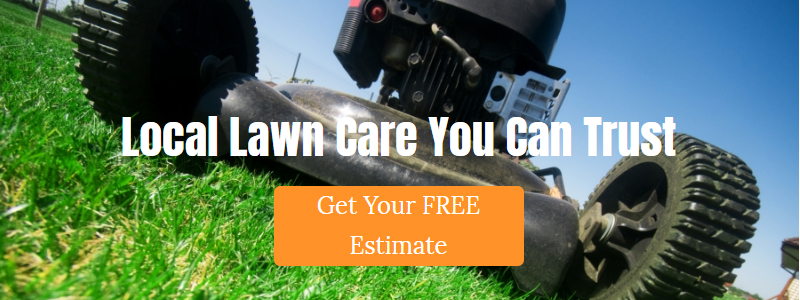 Local lawn care you can trust. Call Impeccable Landscapes!