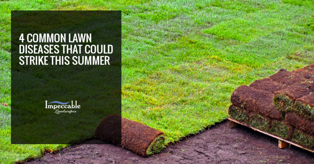 installing sod