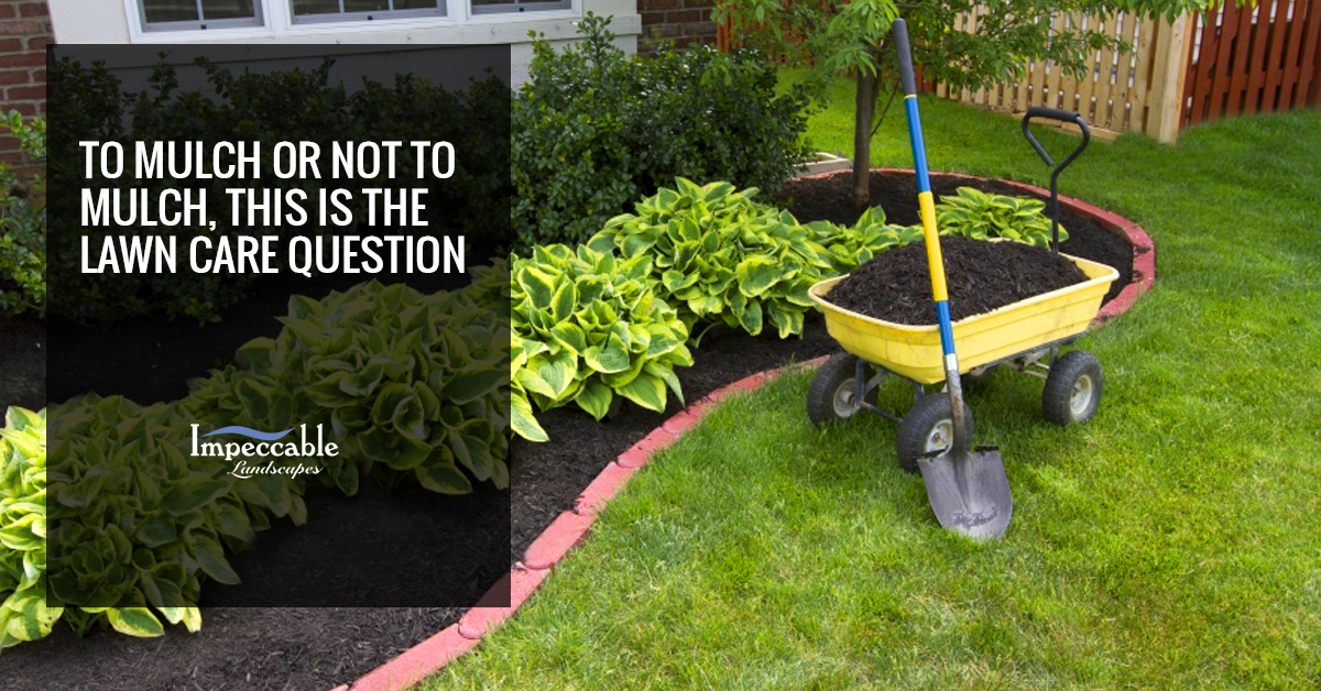 Residential landscaping