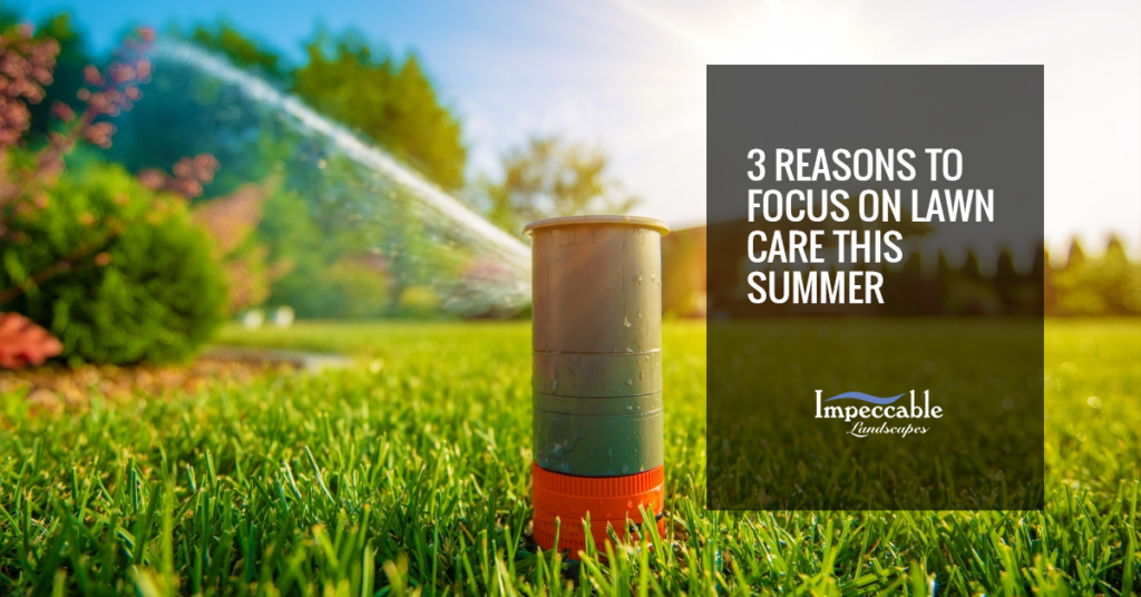 sprinkler running on grass