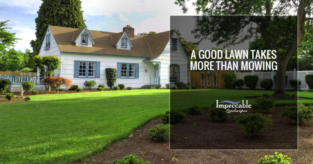 A-GOOD-LAWN-TAKES-MORE-THAN-MOWING