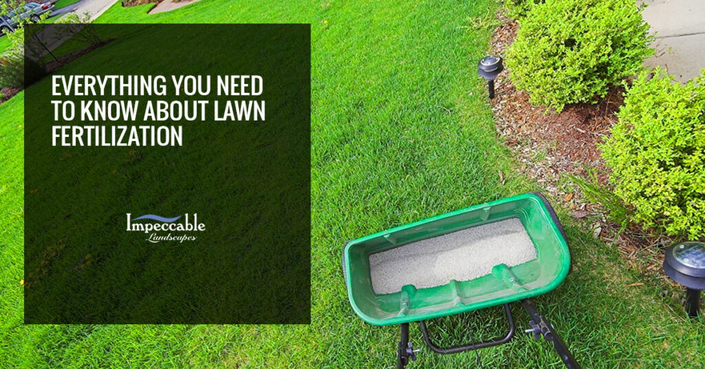 fertilizing lawn