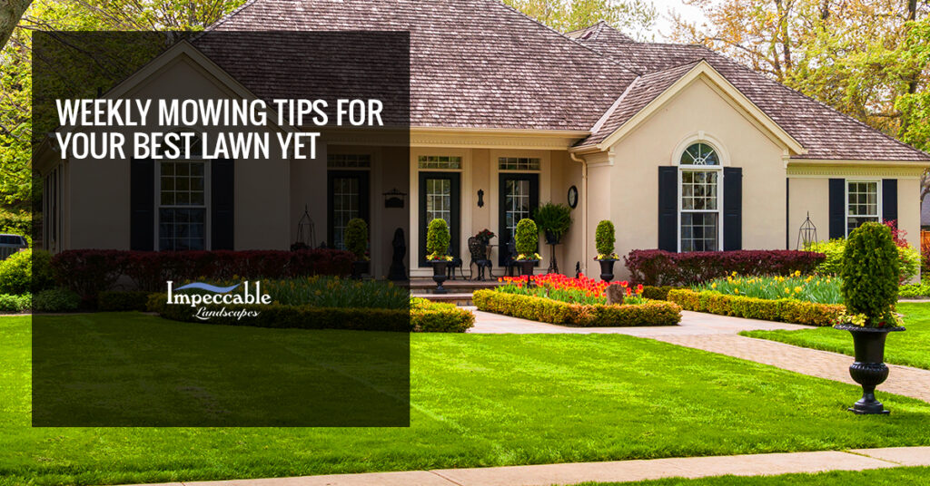 beautiful landscaping in front lawn of home