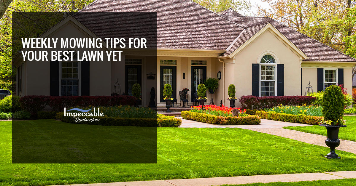 beautiful landscaping in front lawn of home