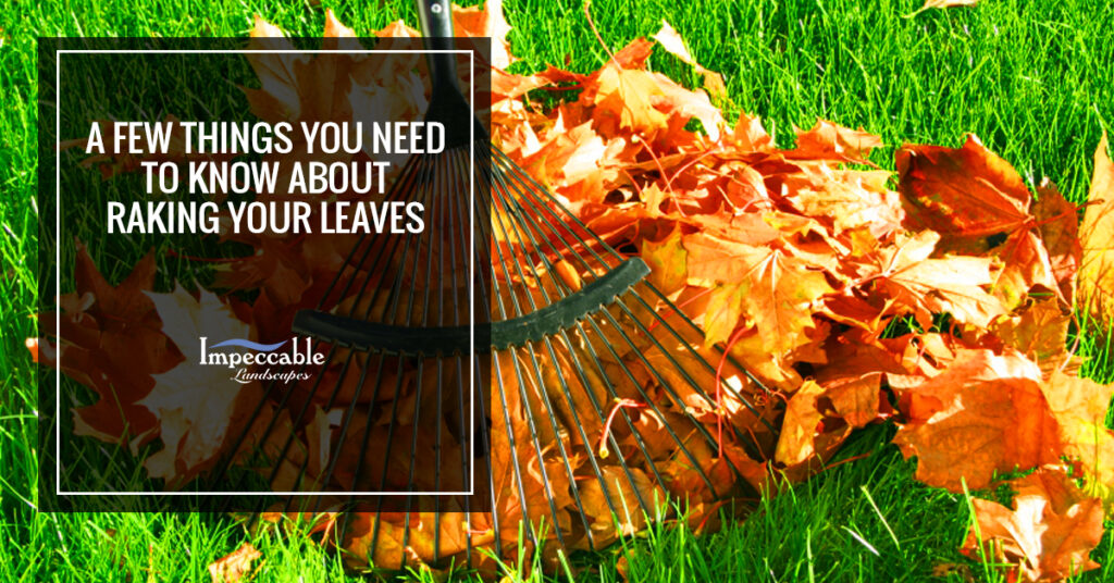raking leaves