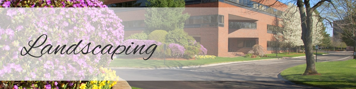 landscaping