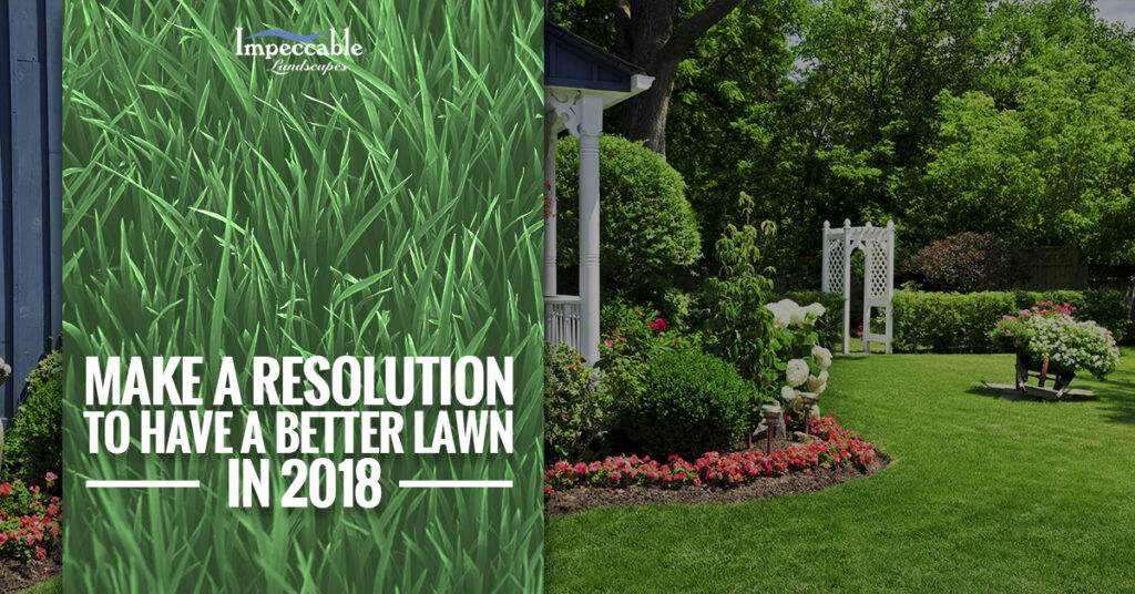 beautiful backyard landscaping