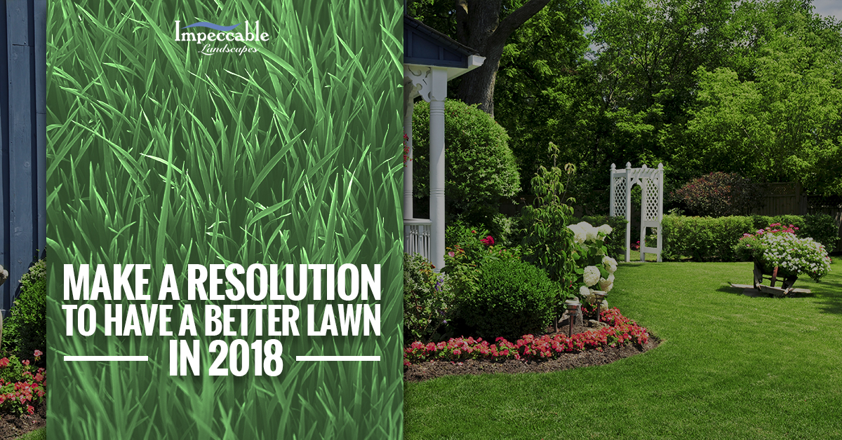 beautiful backyard landscaping