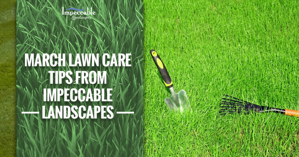 garden tools in grass
