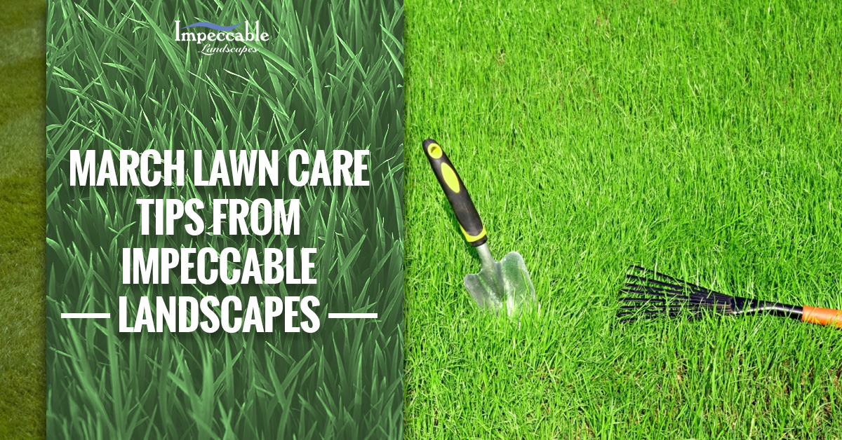 garden tools in grass