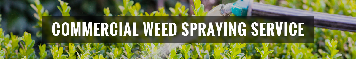 Commercial Weed Spraying Service