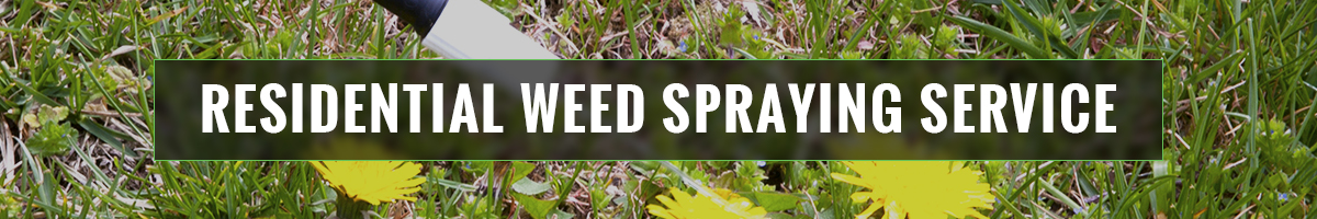 Residential Weed Spraying Service