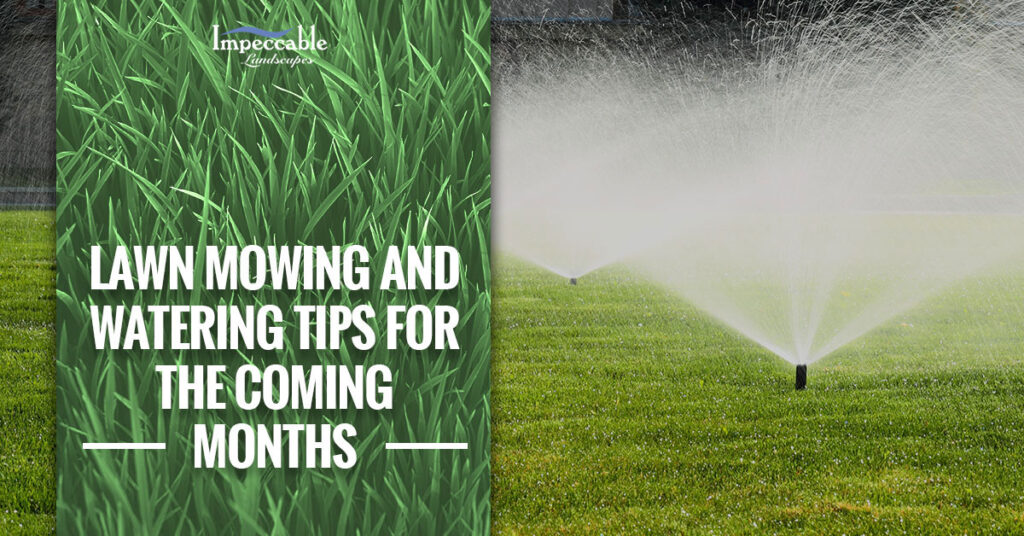 sprinklers running on grass