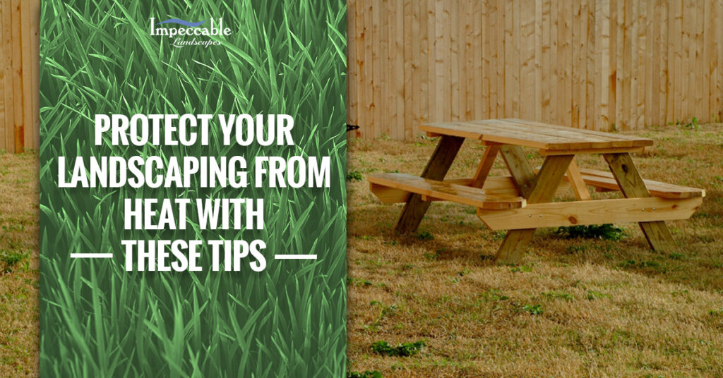 picnic bench on dead grass