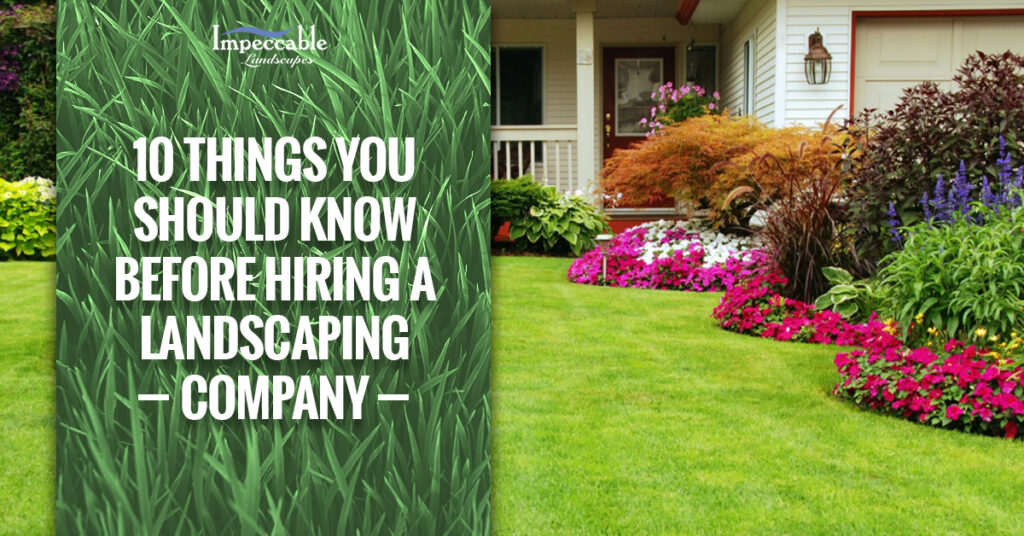 beautiful landscaping in front lawn of home