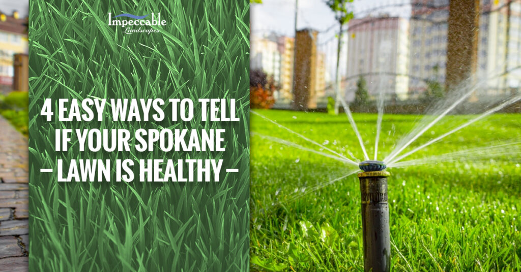 sprinkler running on grass