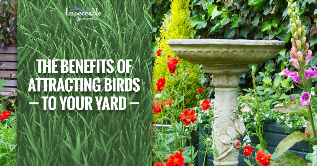 beautiful landscaping with bird bath