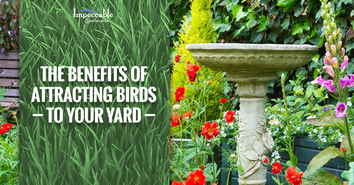 beautiful landscaping with bird bath