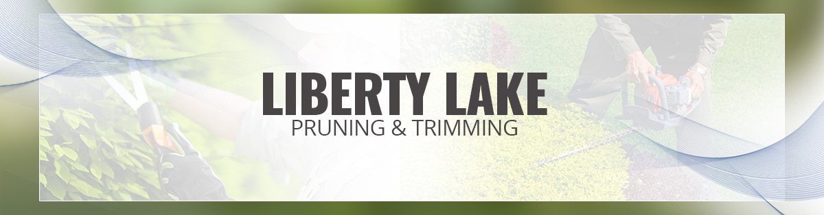 Liberty-Lake-Pruning-and-Timming