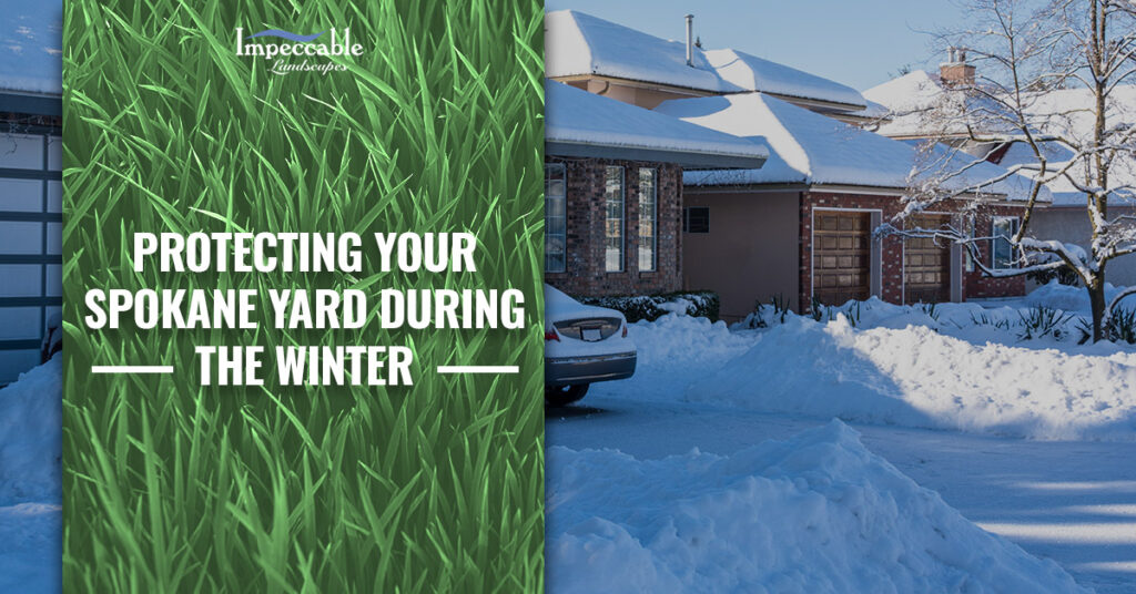 homes on a street with lots of snow