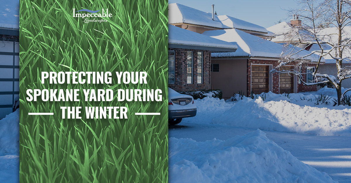 homes on a street with lots of snow