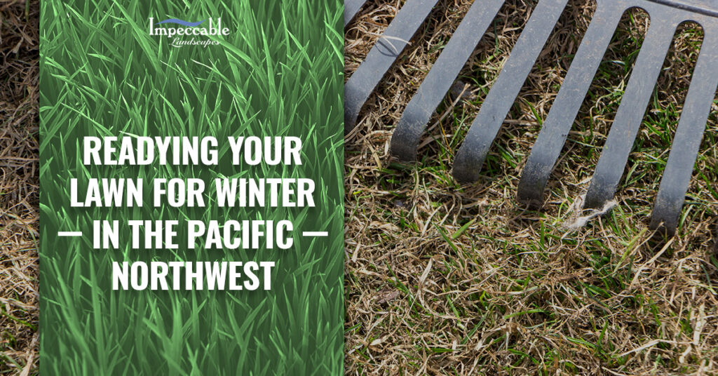 Readying-Your-Lawn-For-Winter-in-the-Pacific-Northwest