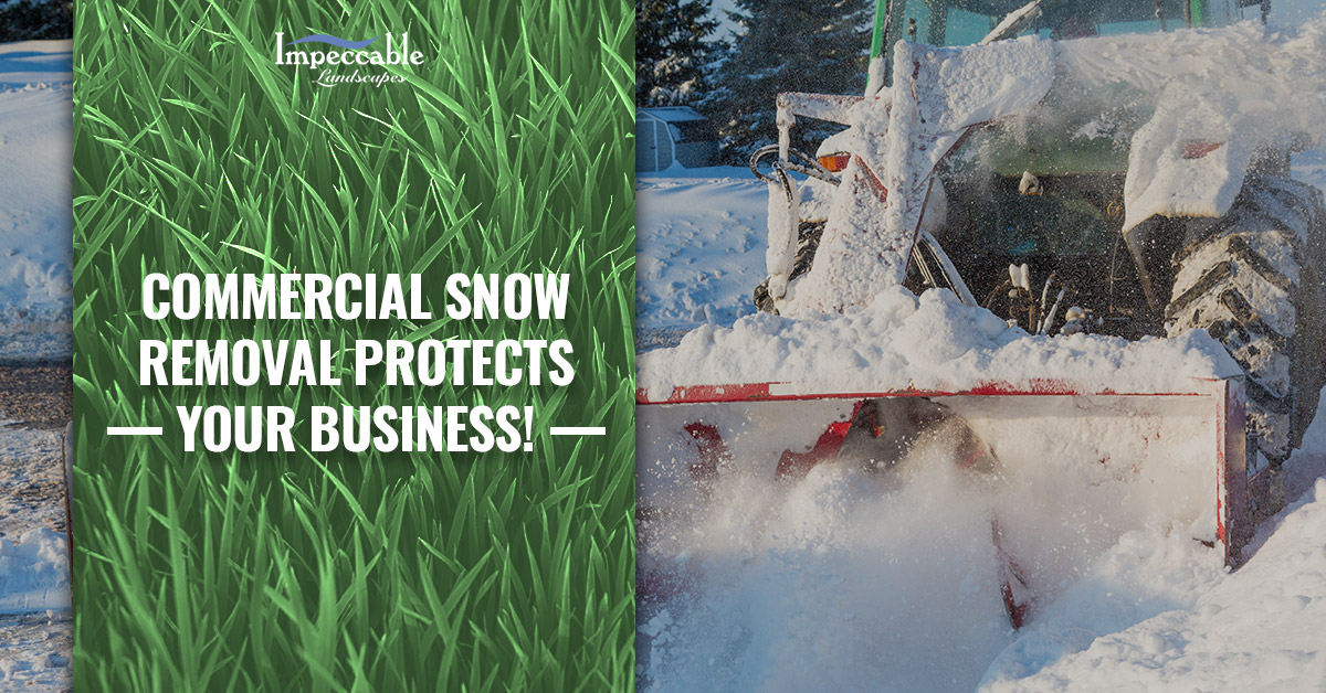 snowplow in action