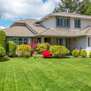 beautiful landscaping in front lawn of home