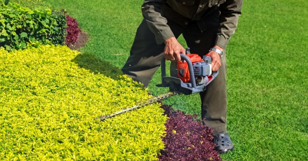 using chainsaw on shrubs